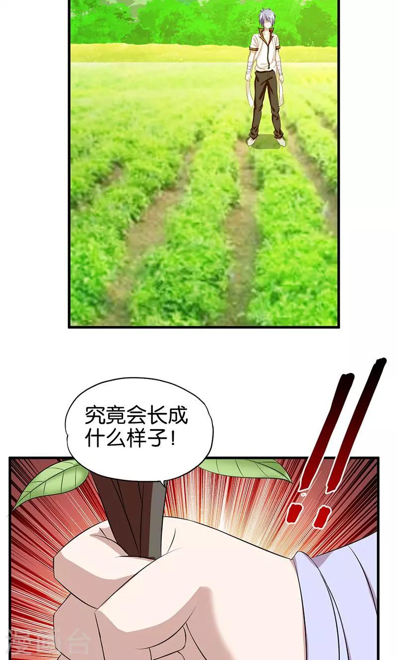 第7话 符印带来的惊喜7