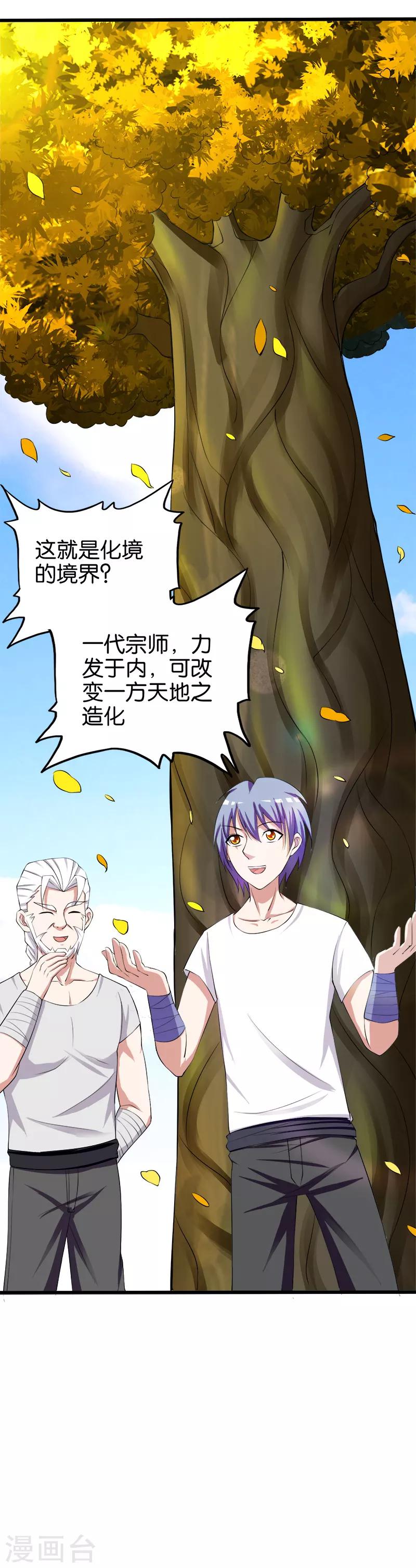 第199话 化境12