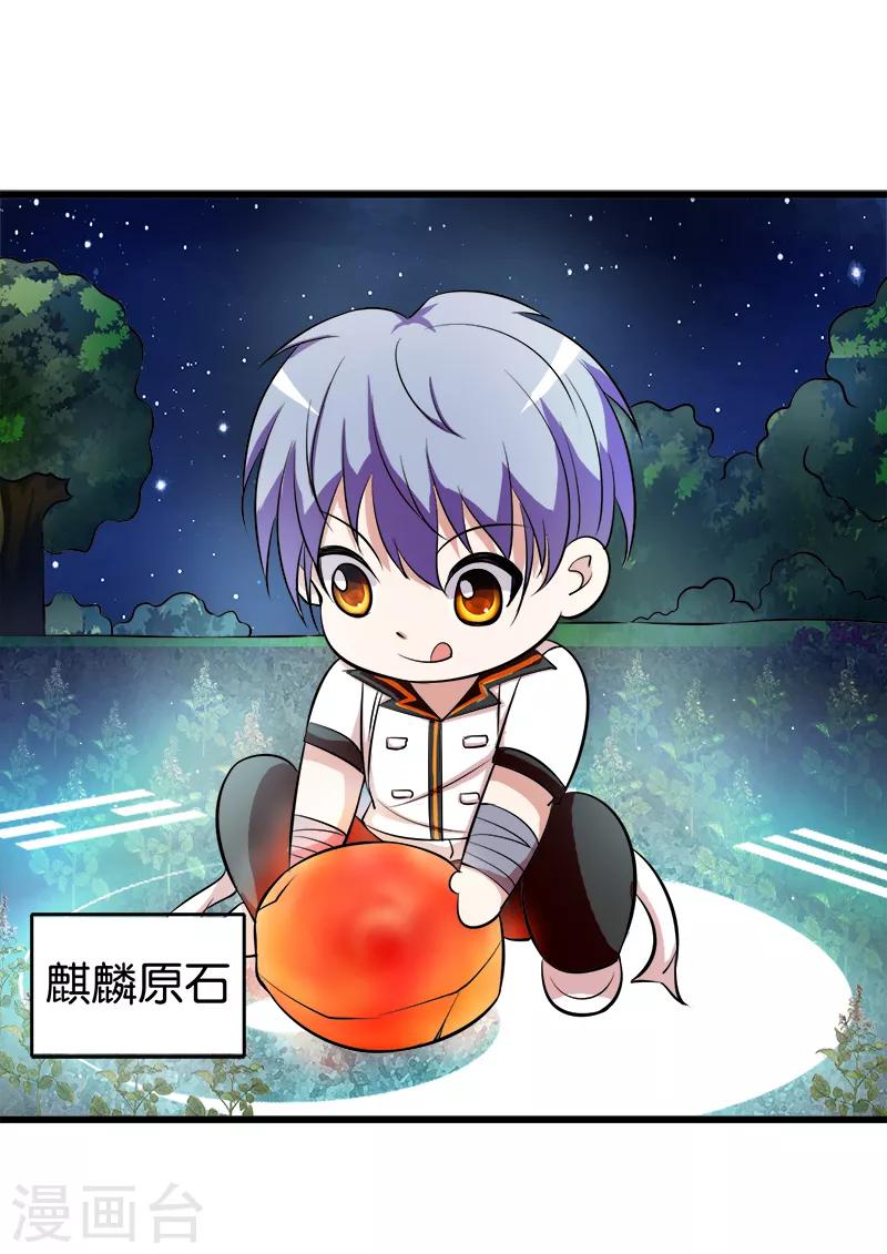 第203话 麒麟原石6