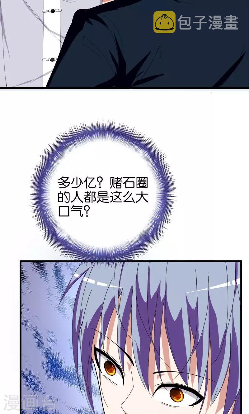 第152话 赌石8
