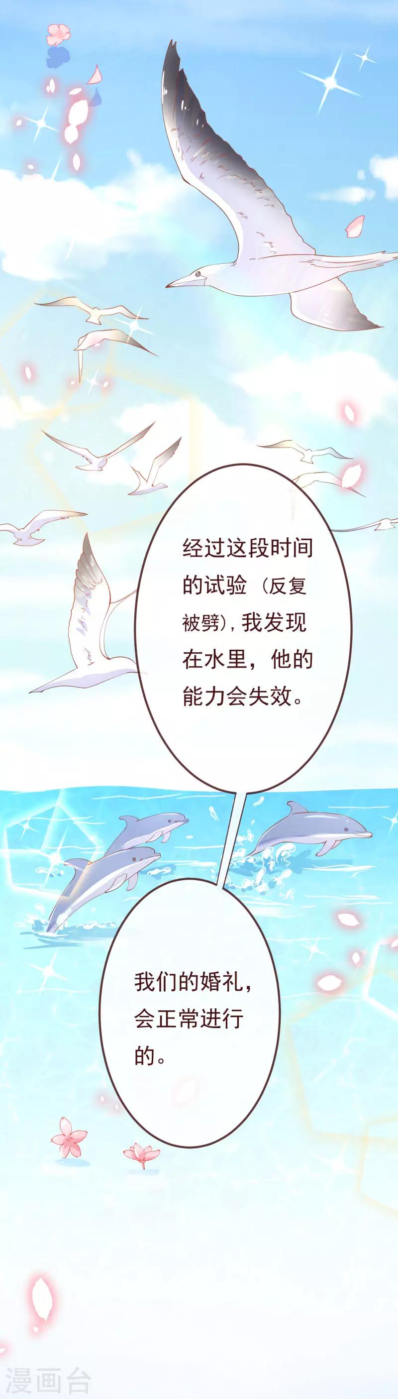 第2季93话 总裁的浪漫新婚25