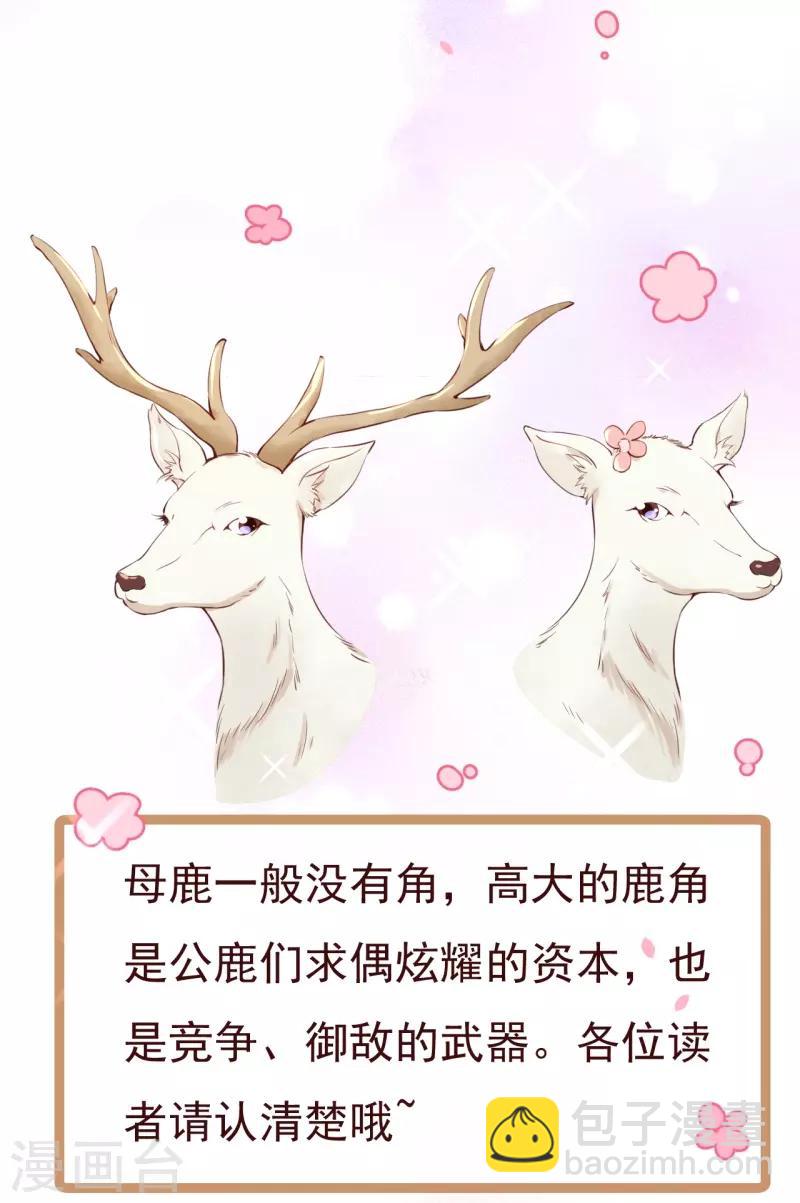 第2季70话 我都心甘情愿36