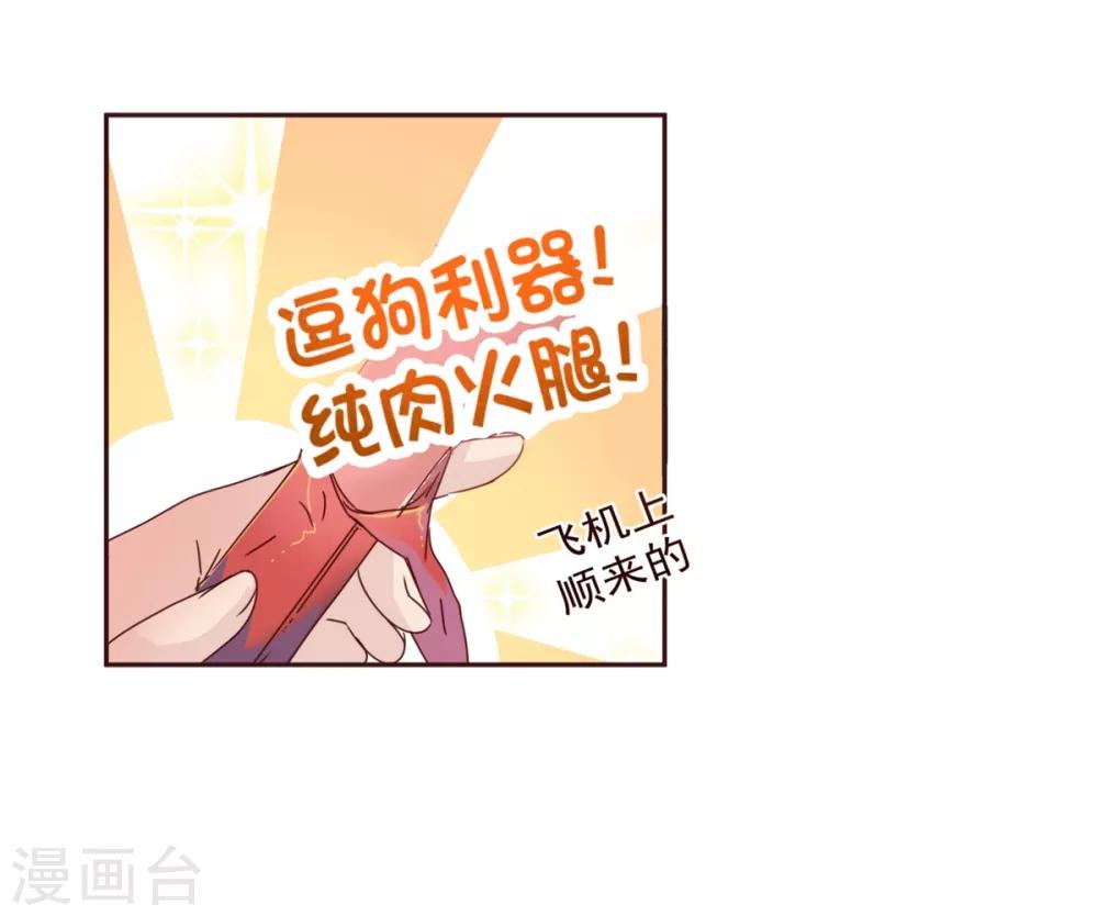 第58话 狗粮2