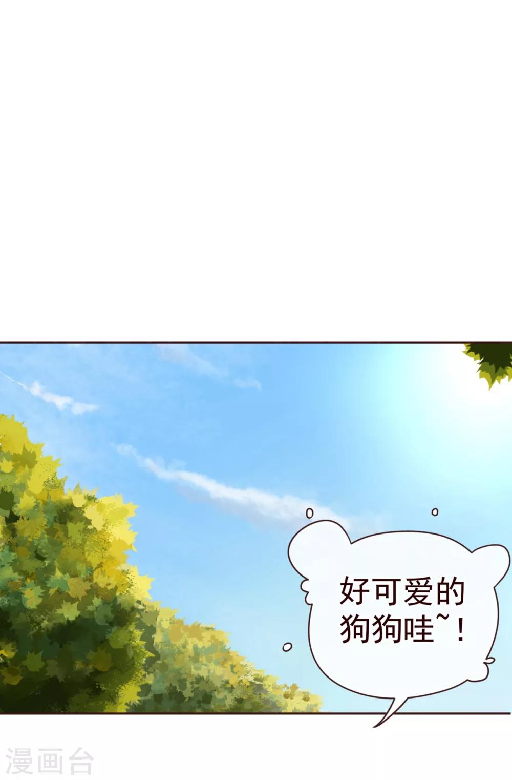 第58话 狗粮1