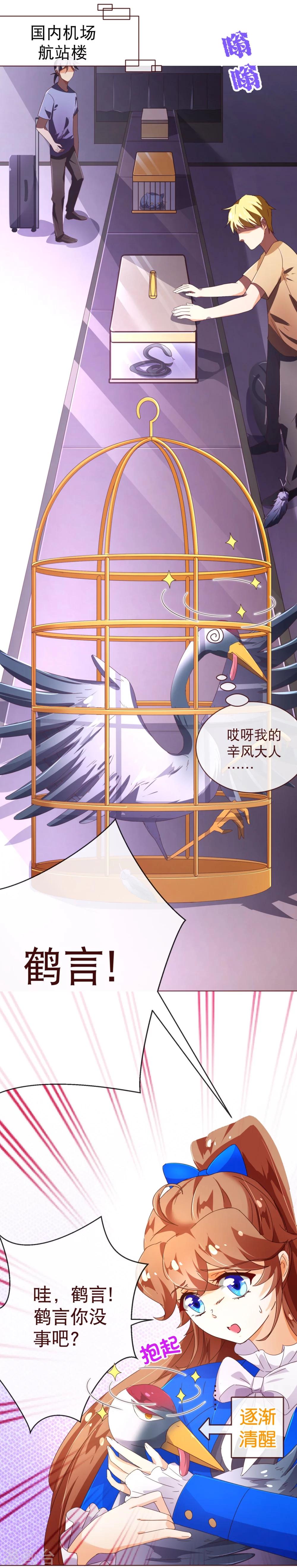 第91话 接机2