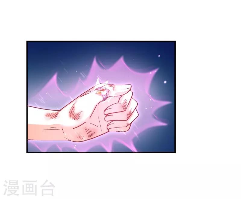 第2季41话 证婚12