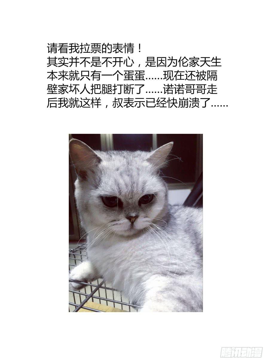 48. 英魂“遗愿”12