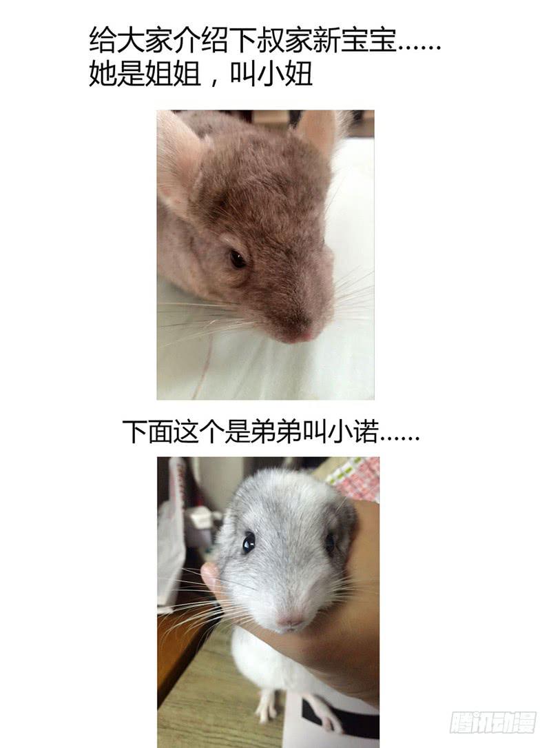 47.命运共同体10
