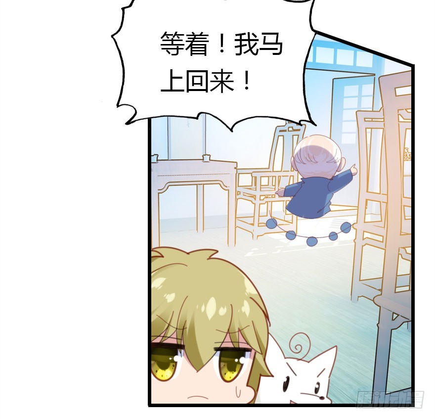 才能17
