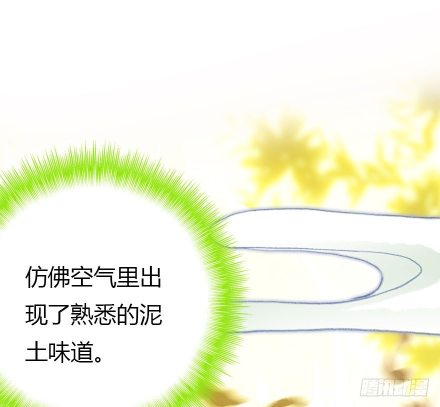 晨露面169