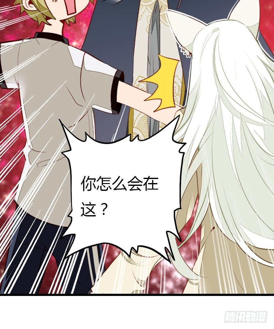 好帅一条黑蛇精21