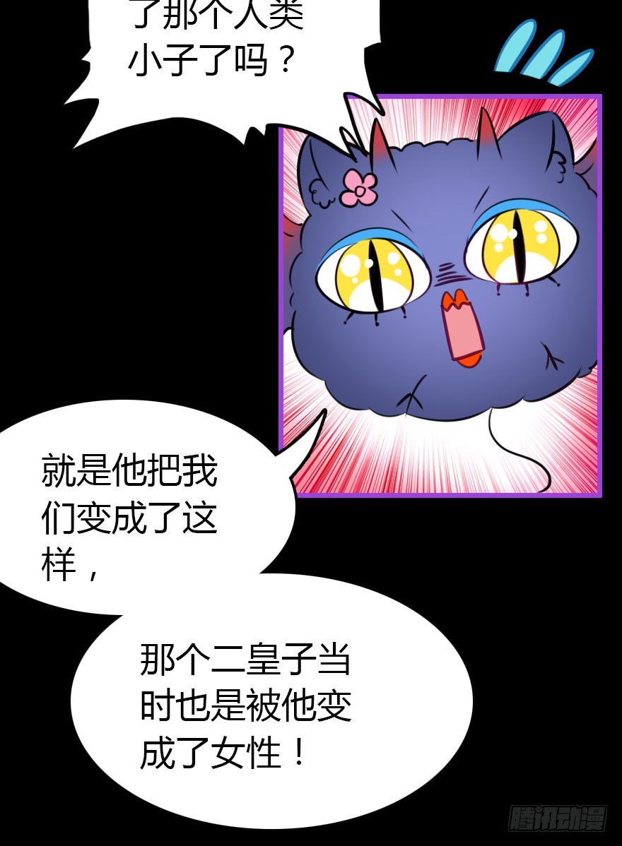 成为妖界名人40