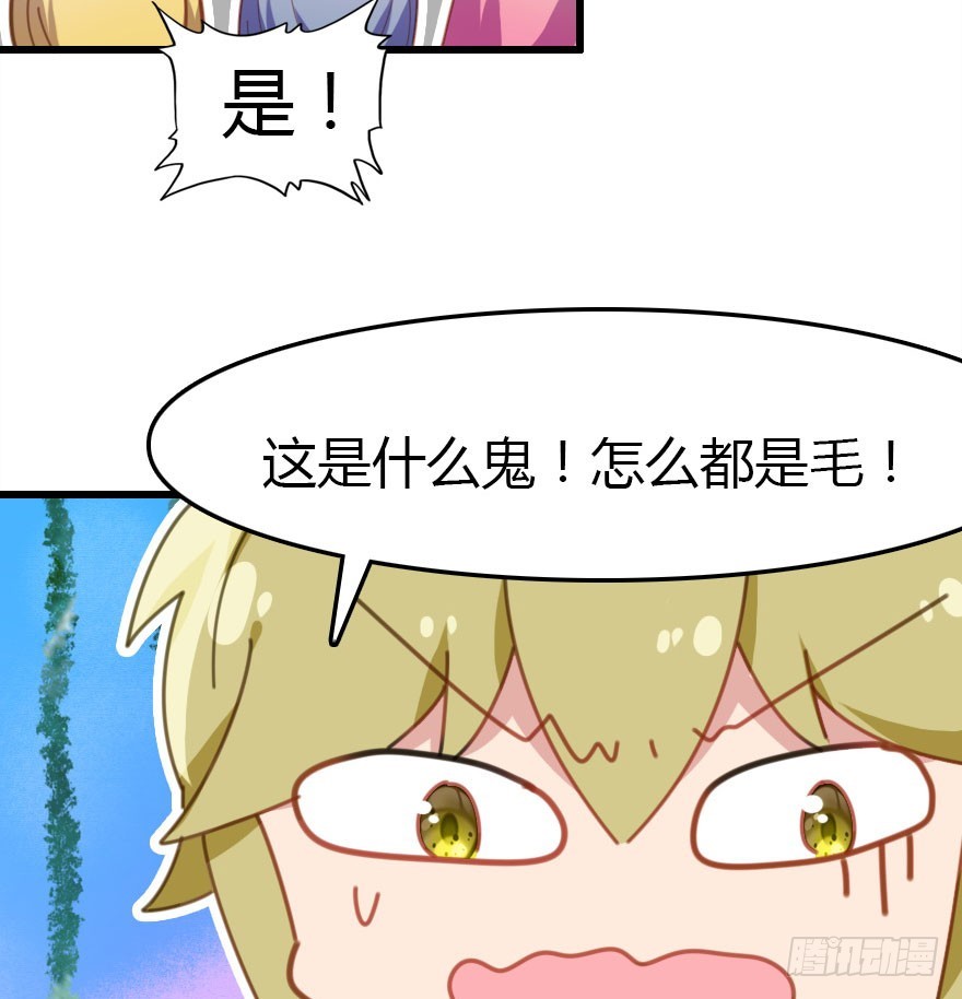 风水轮流转34
