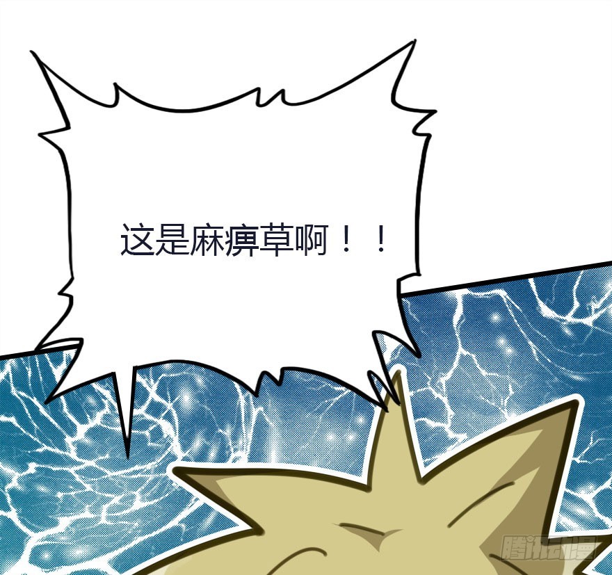 十一特别篇212