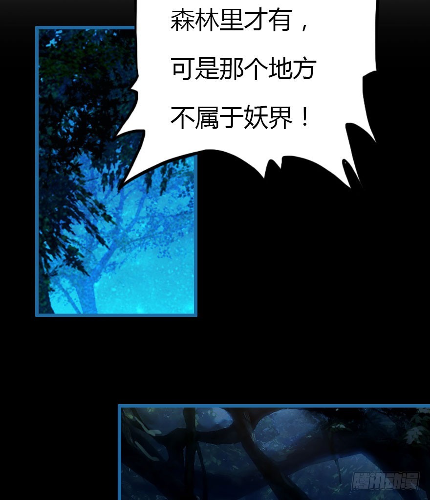 黑暗森林54