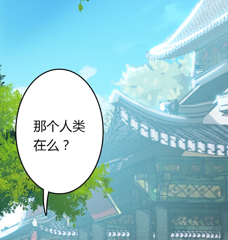 爆发48