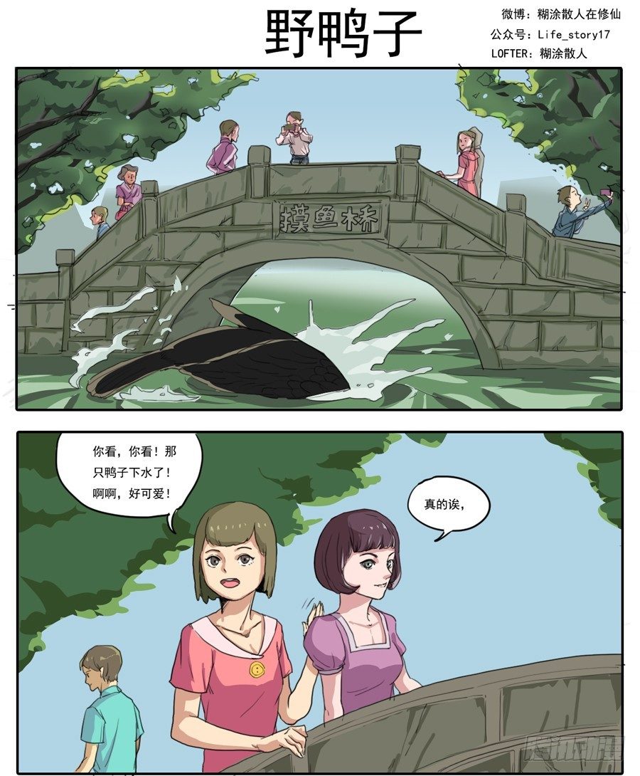 001野鸭子0