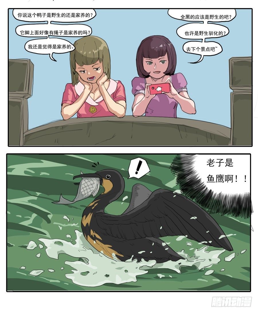 001野鸭子1