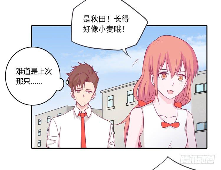拉近距离大作战16