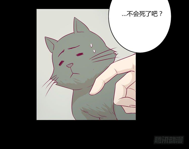 寿命等价交换？！10