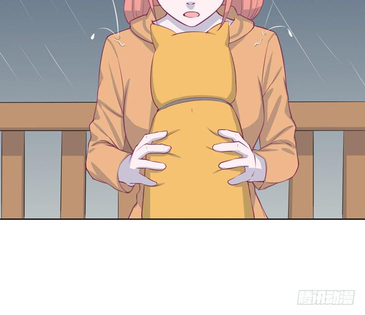 上山的寻觅23