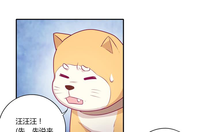 拉近距离大作战37
