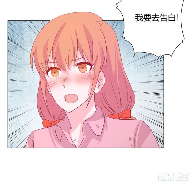 紫色雏菊的花语17