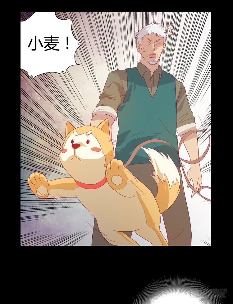 打回原形20