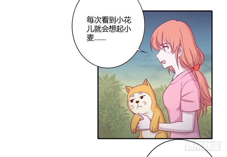 麦！许愿吧！16