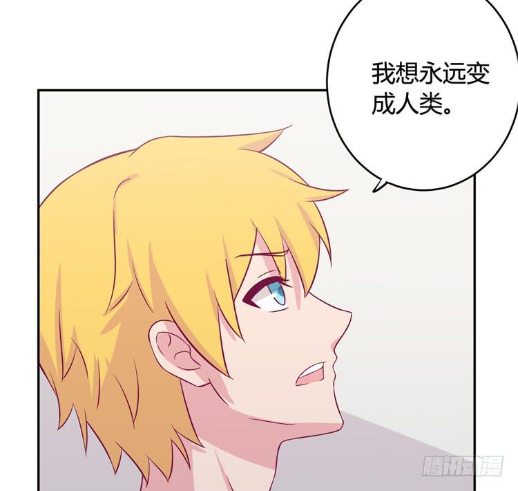 愿望的代价29