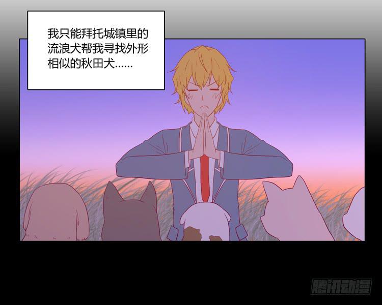 我要带小麦回城里！16