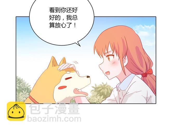 我要带小麦回城里！4