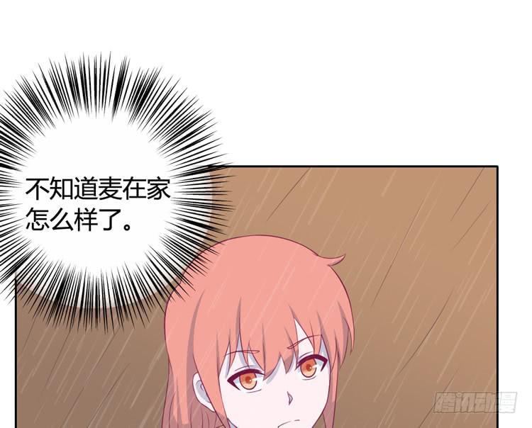 上山的寻觅41