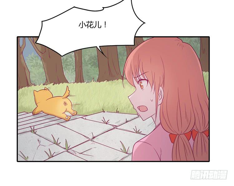 麦！许愿吧！49