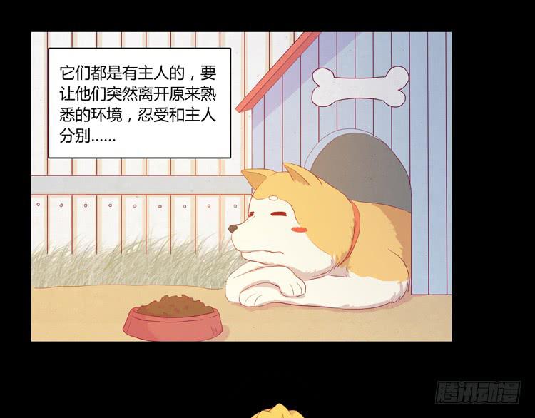 我要带小麦回城里！18