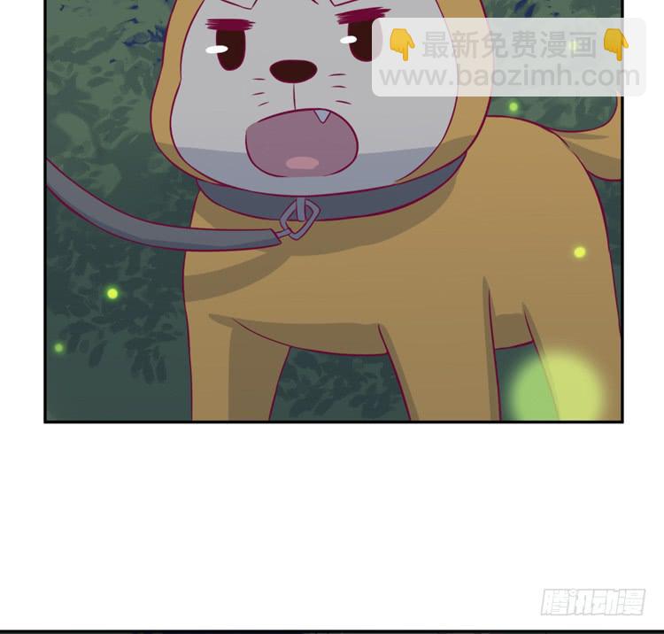 小园的办法14