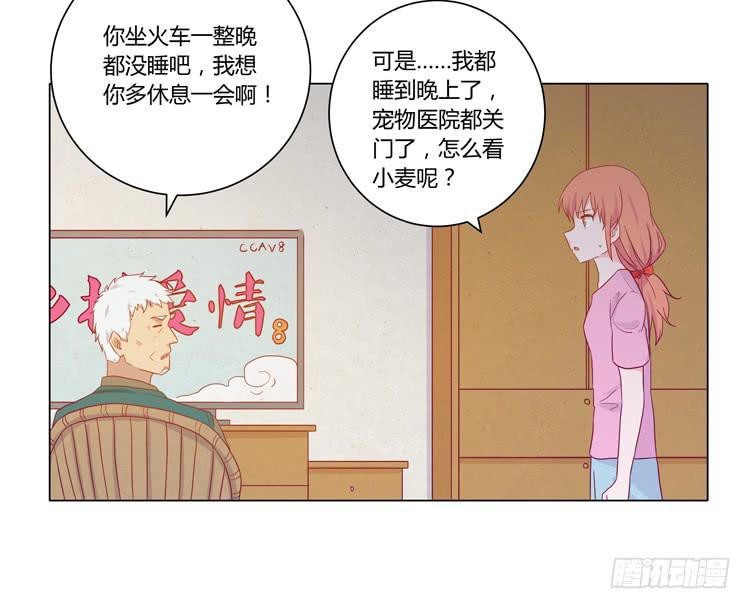 爷爷，我要见小麦！34