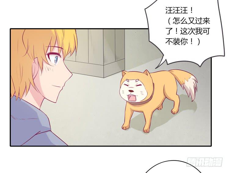 拉近距离大作战14