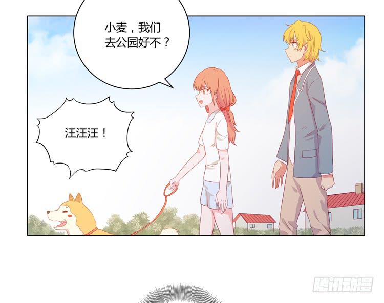 我要带小麦回城里！14