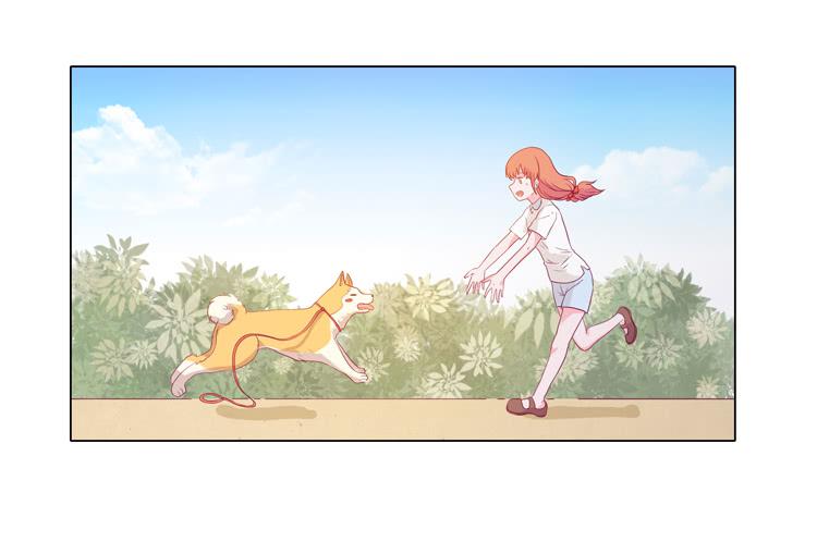 我要带小麦回城里！1