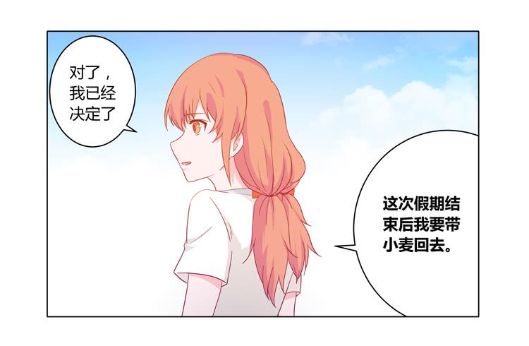 我要带小麦回城里！40