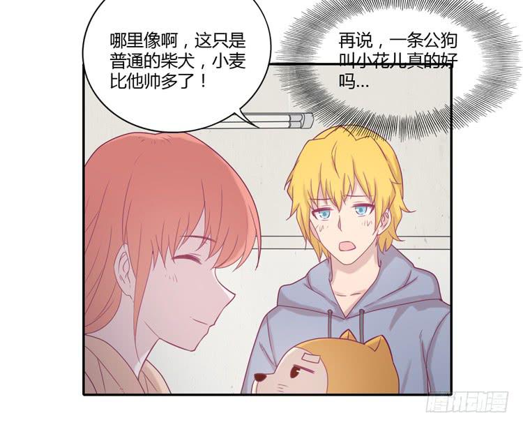 风雨无阻的恋爱30