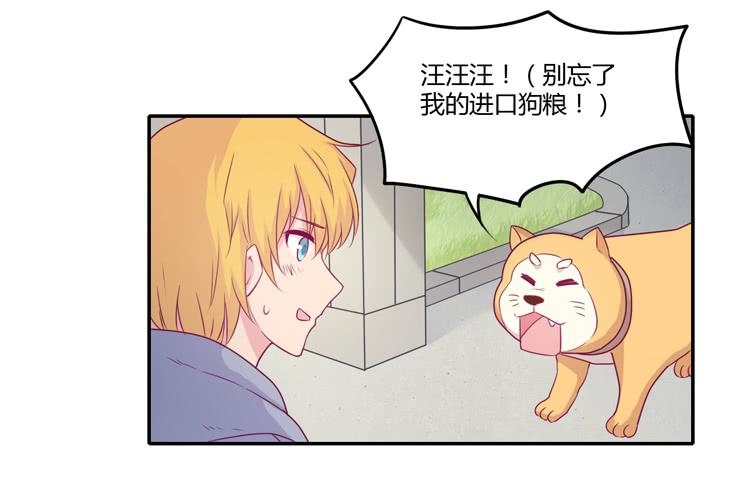 你们两个大笨蛋12