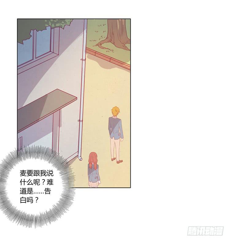 一条狗的使命1