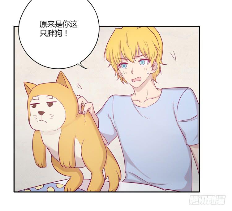 麦！许愿吧！8