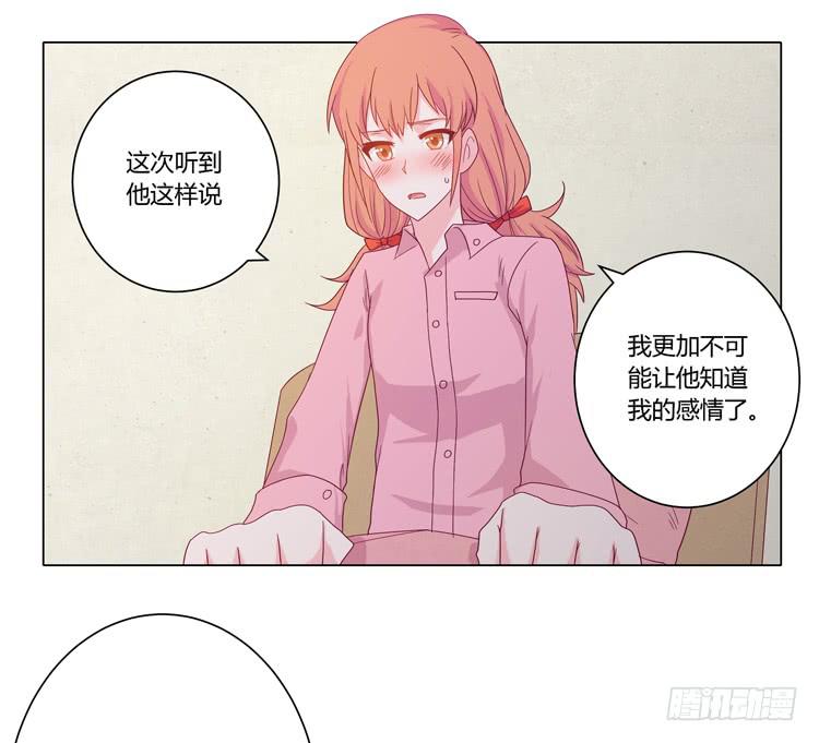 紫色雏菊的花语7