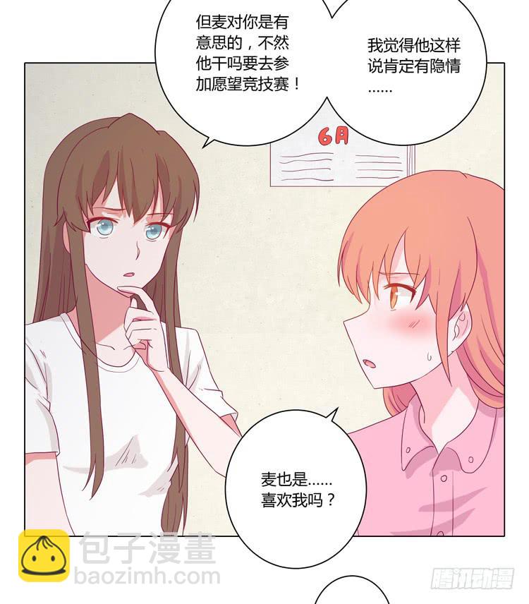 紫色雏菊的花语3