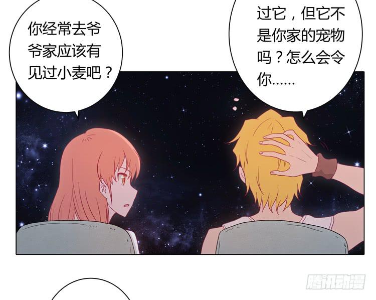 和麦坦诚相对14