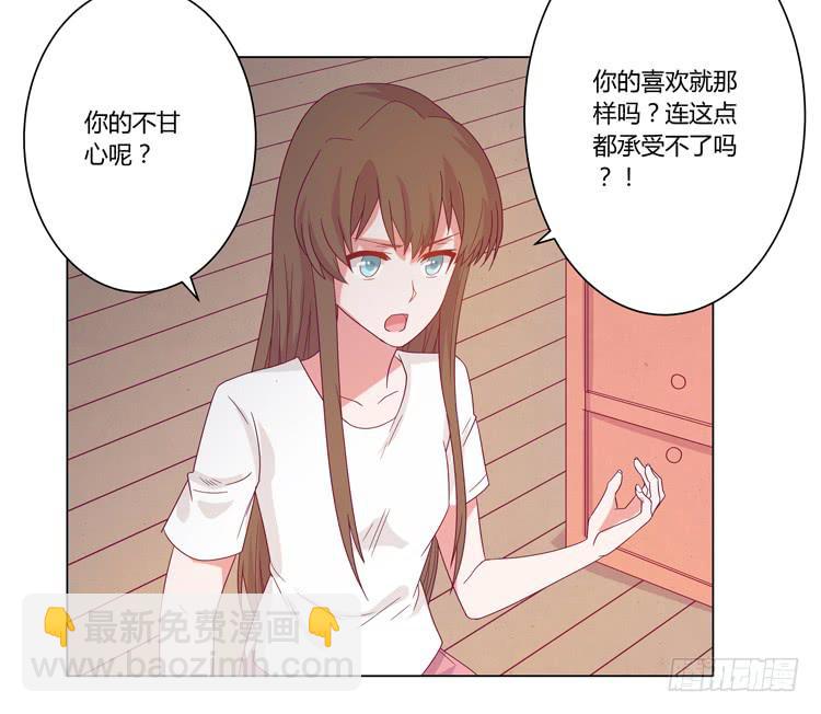 紫色雏菊的花语10