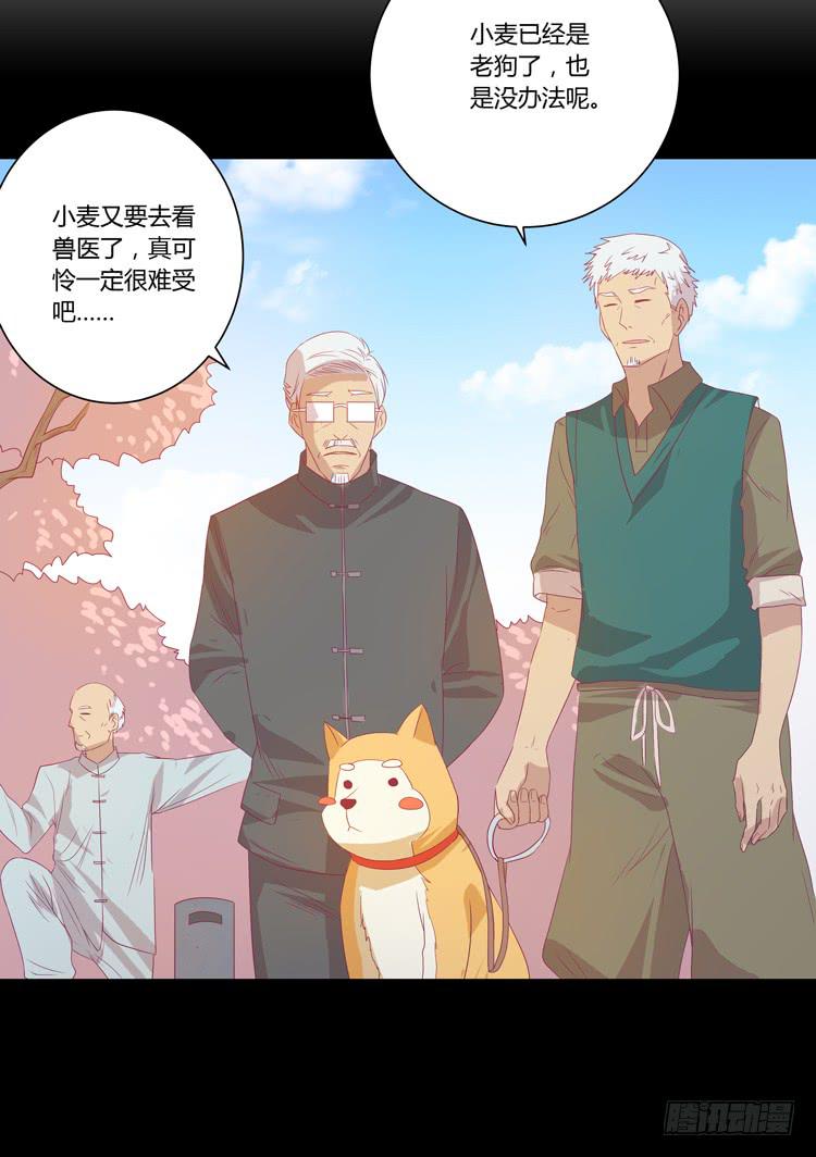 打回原形17